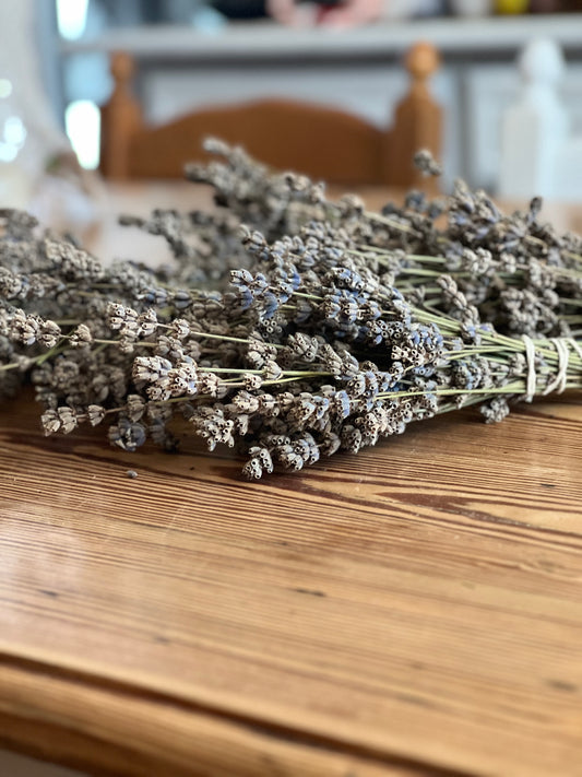Lavanda Angustifolia Essiccata - Vera Lavanda Officinale