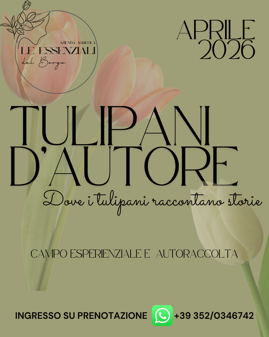 Biglietti ingresso TULIPANI D'AUTORE 2026
